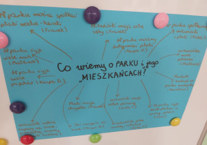Plakat przedstawiający siatkę pytań dotyczących mieszkańców parku
